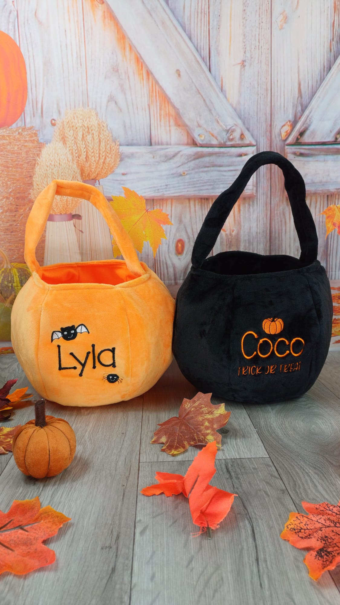 Trick or Treat bags