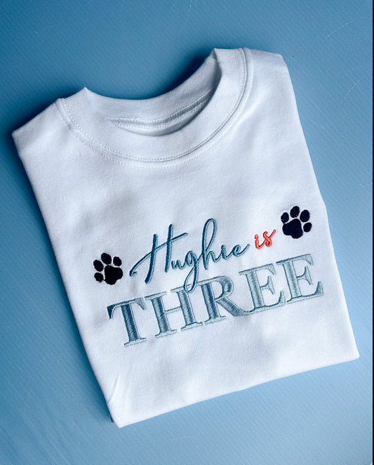Bluey/Paw Patrol inspired birthday tshirt