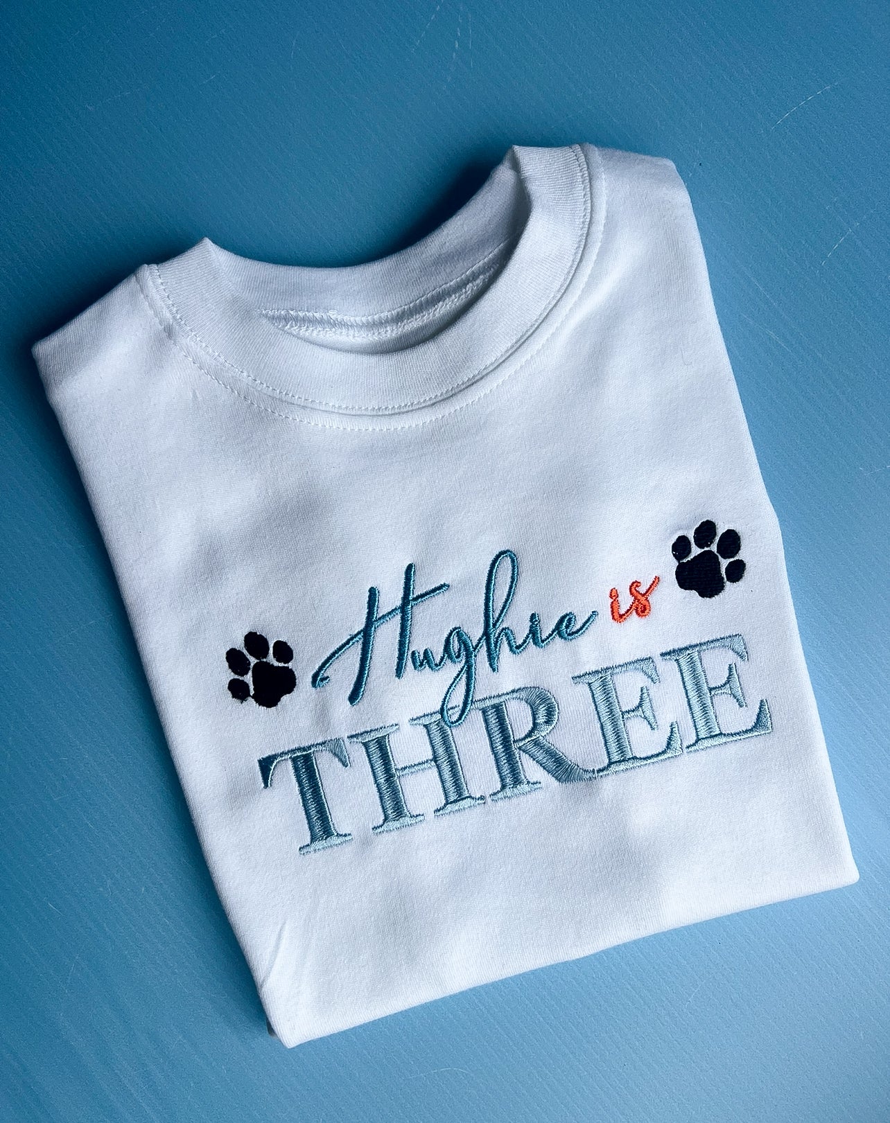 Bluey/Paw Patrol inspired birthday tshirt