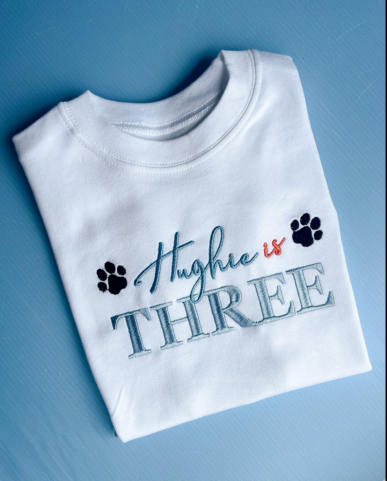 Bluey/Paw Patrol inspired birthday tshirt