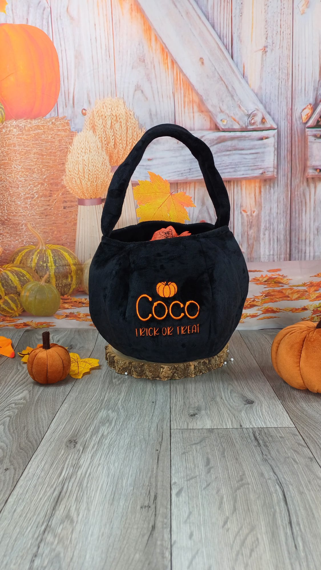 Trick or Treat bags