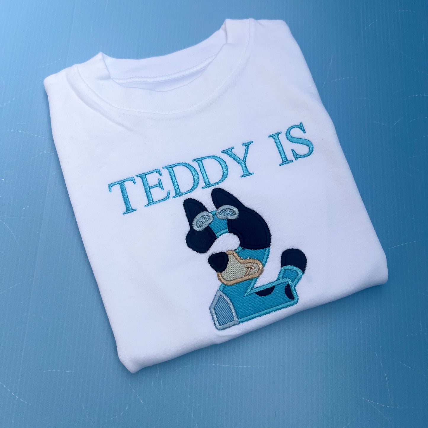 Bluey Inspired Number Sets