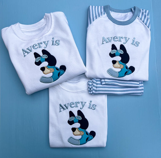 Bluey Inspired Number Sets